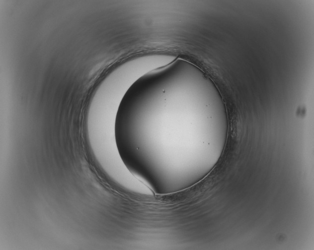 X0000112730740200909101451