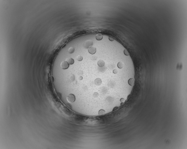 X0000112730742200909101451