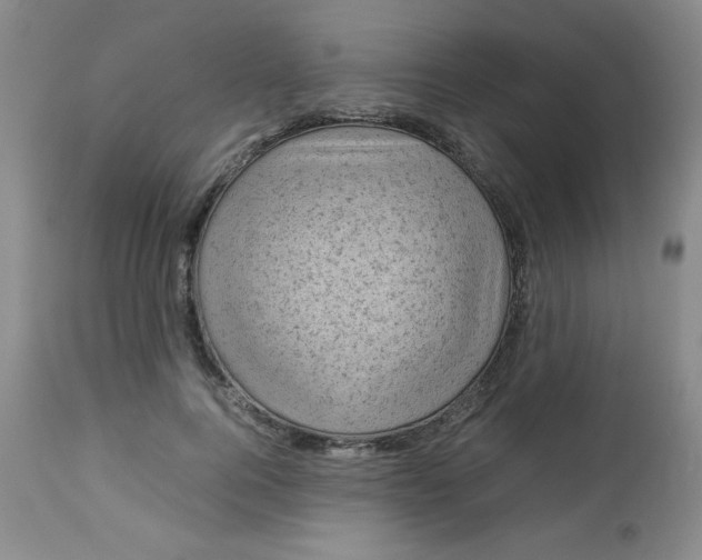 X0000112730744200909101451