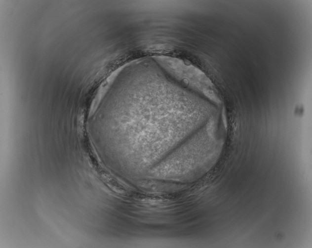 X0000112730745200909101451