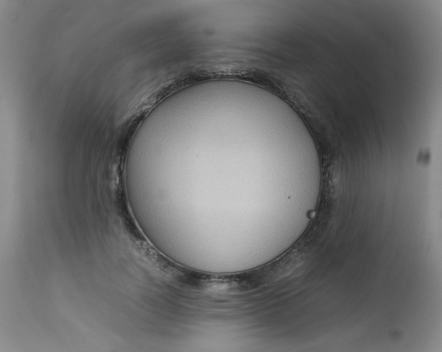 X0000112730746200909101451