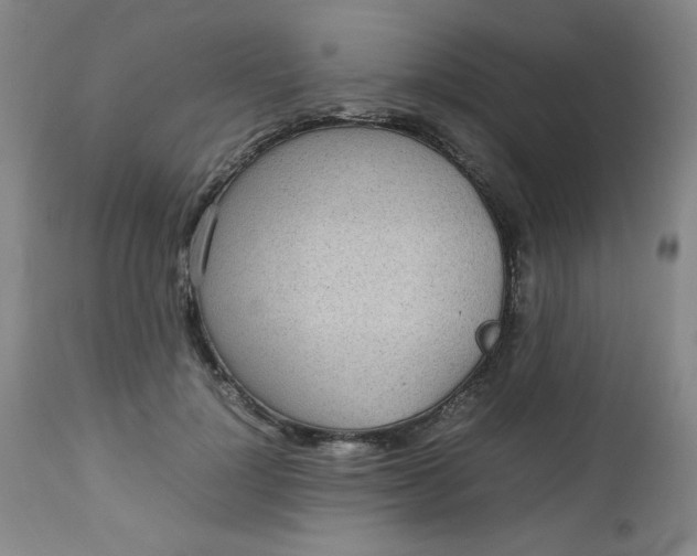 X0000112730748200909101451