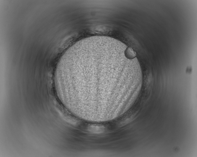 X0000112730749200909101451