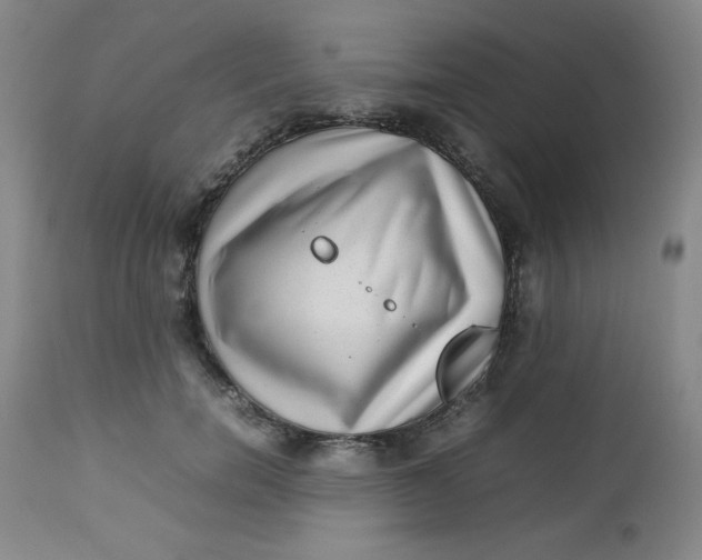 X0000112730750200909101451