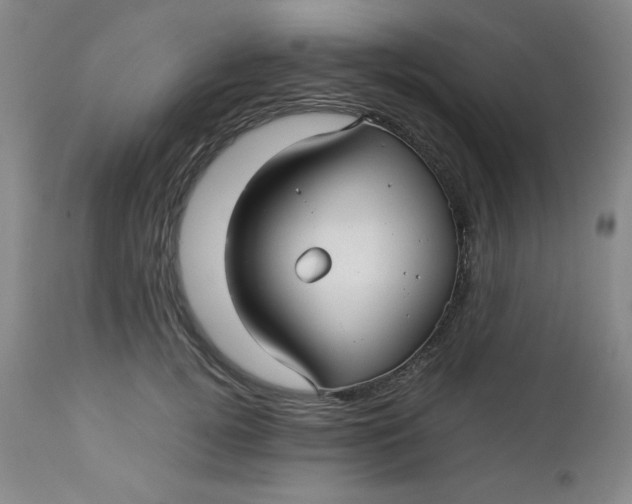 X0000112730752200909101451