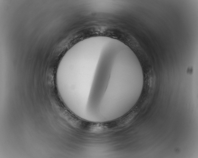 X0000112730754200909101451