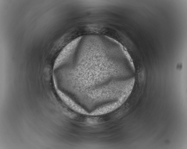 X0000112730757200909101451