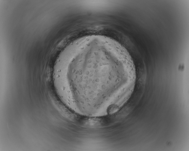 X0000112730758200909101451