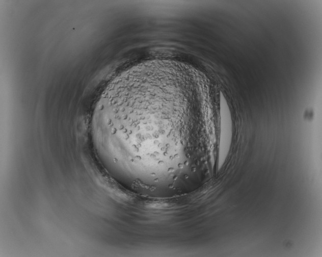 X0000112730759200909101451