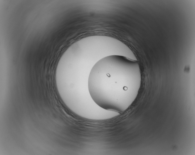 X0000112730760200909101451