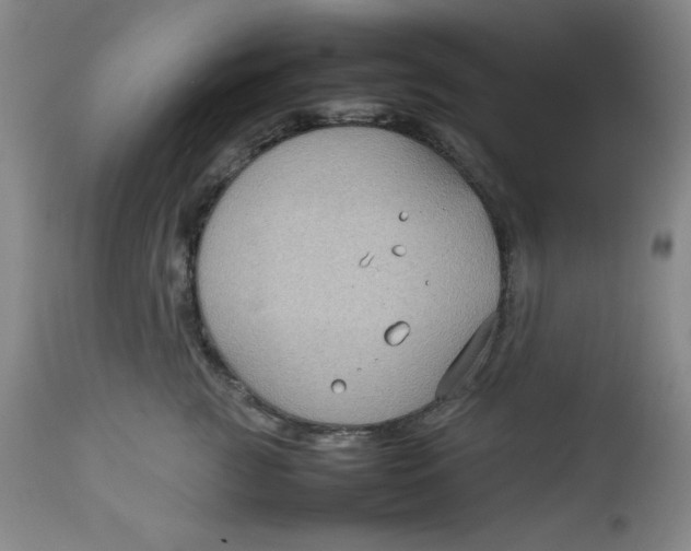 X0000112730761200909101451