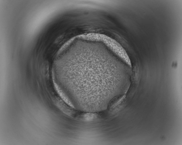 X0000112730762200909101451