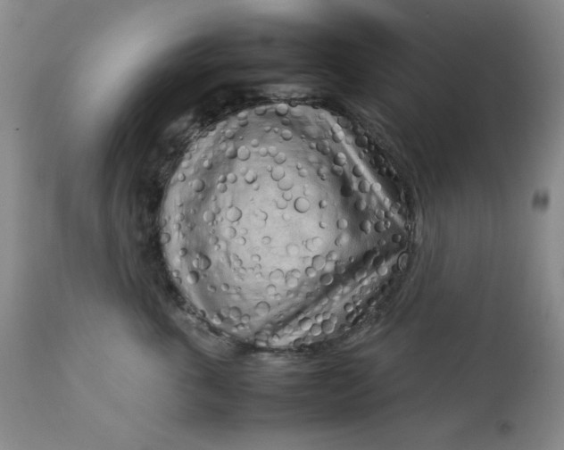 X0000112730763200909101451