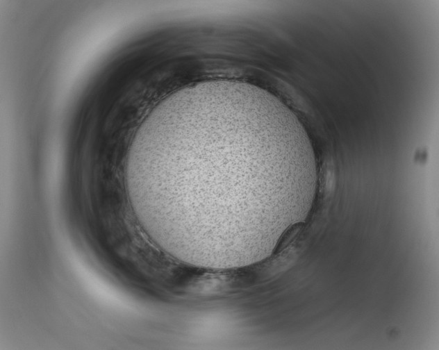 X0000112730764200909101451