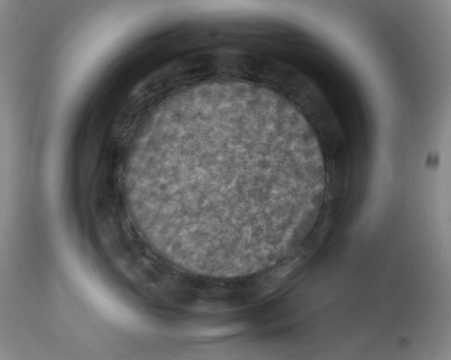 X0000112730765200909101451