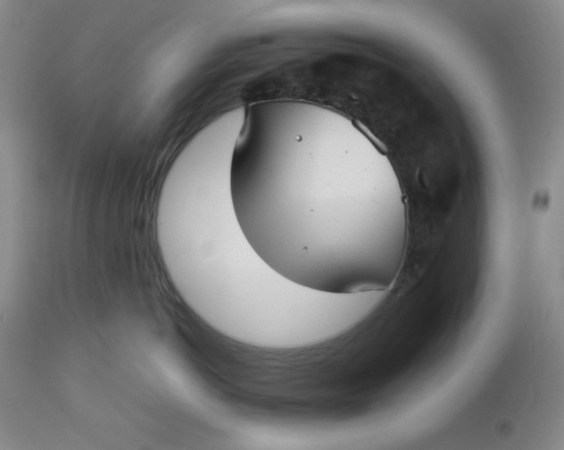 X0000112730766200909101451