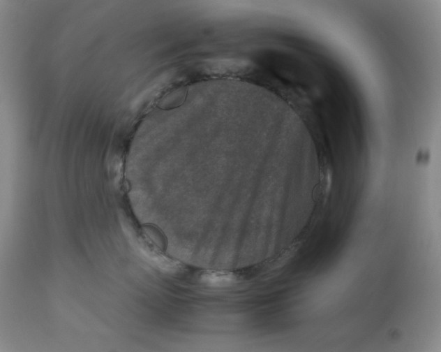 X0000112730767200909101451