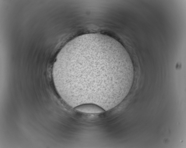 X0000112730768200909101451