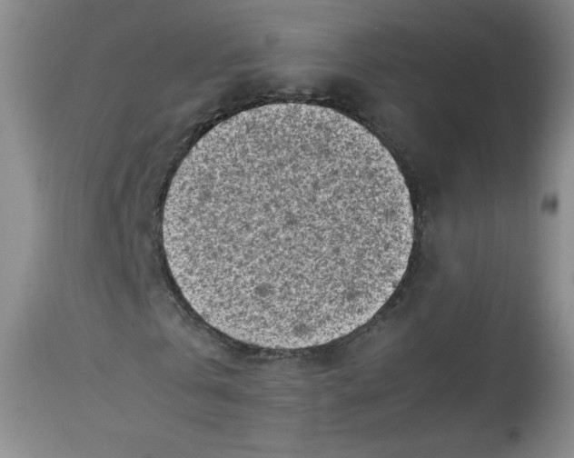 X0000112730769200909101451