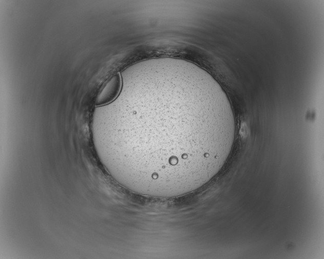 X0000112730771200909101451