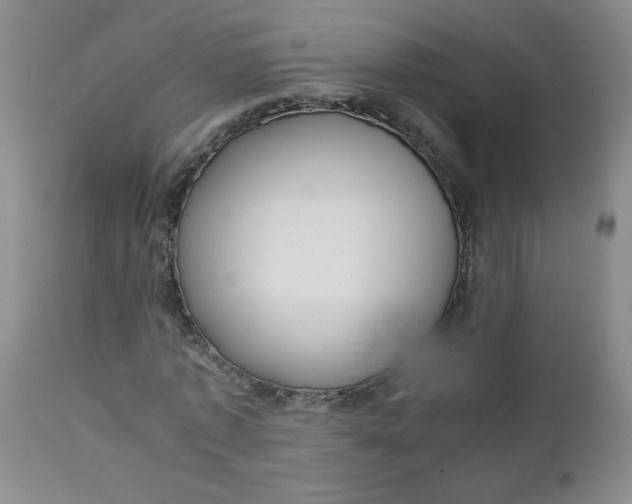 X0000112730773200909101451