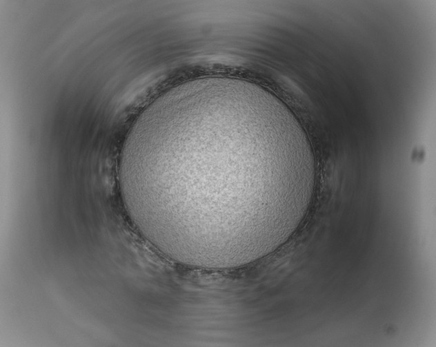 X0000112730774200909101450