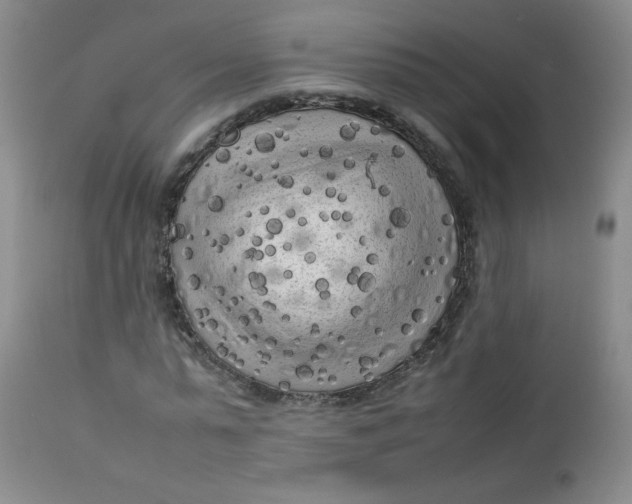 X0000112730775200909101450