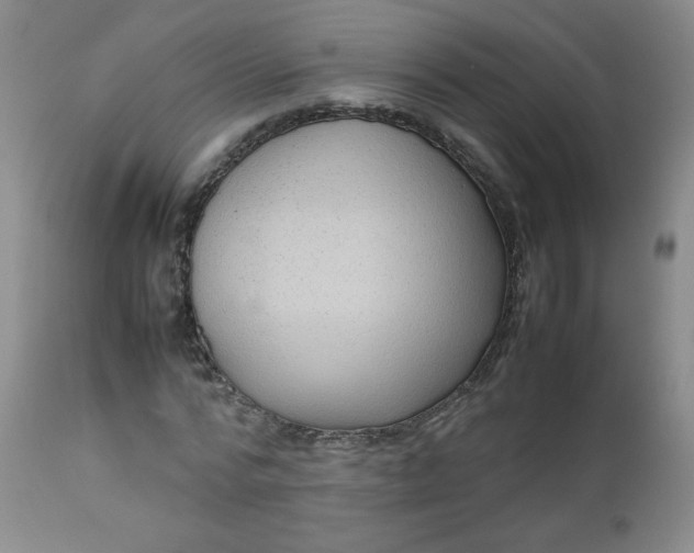 X0000112730776200909101450