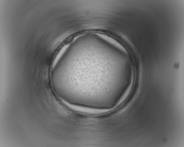 X0000112730777200909101450