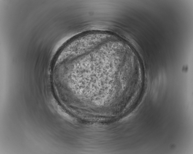 X0000112730779200909101450