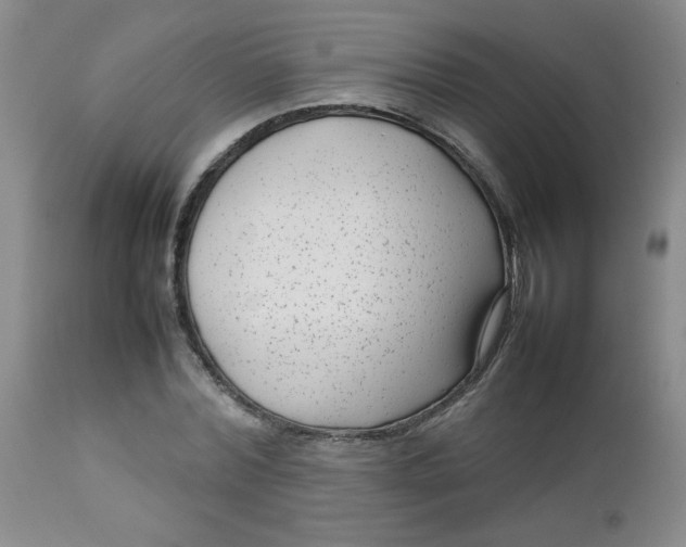 X0000112730780200909101450