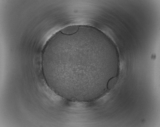 X0000112730781200909101450