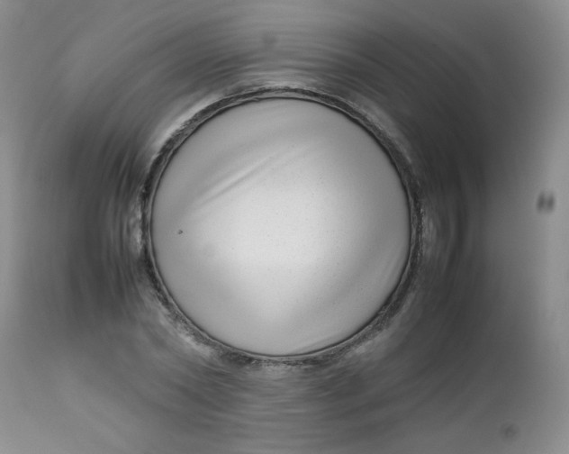 X0000112730782200909101450