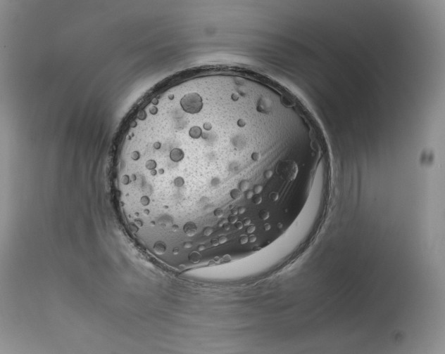 X0000112730783200909101450