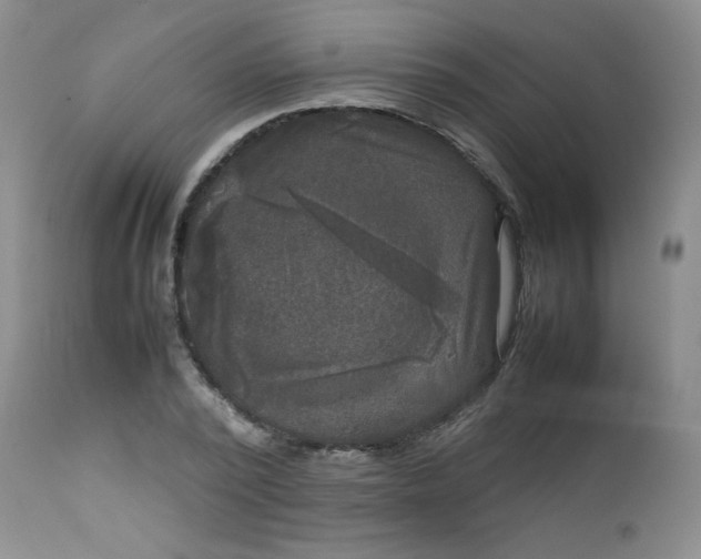 X0000112730784200909101450