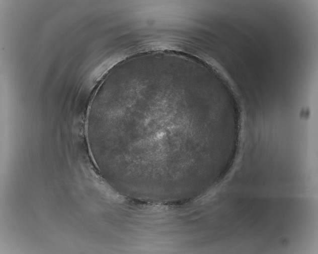 X0000112730785200909101450