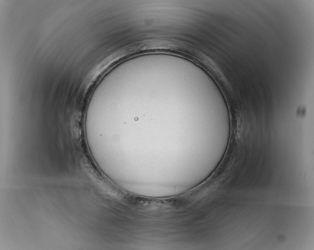 X0000112730786200909101450