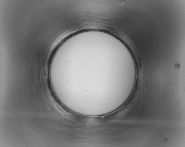 X0000112730787200909101450