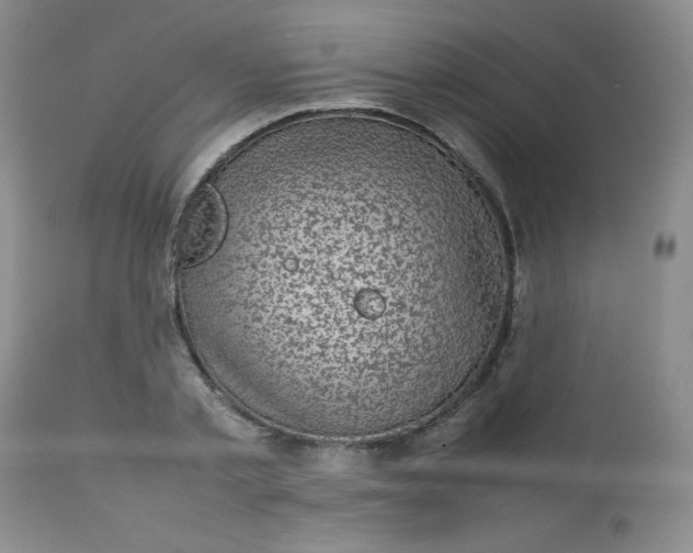 X0000112730789200909101450