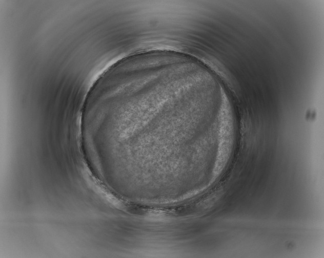 X0000112730790200909101450