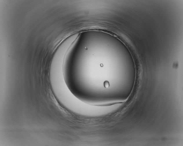 X0000112730793200909101450