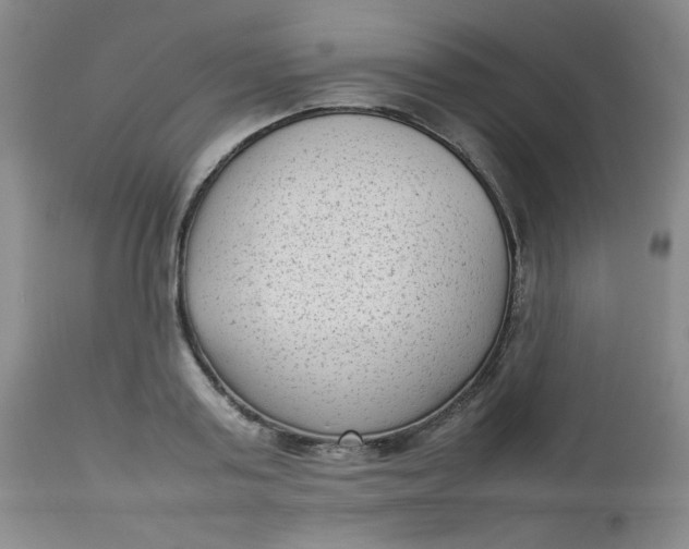 X0000112730795200909101450