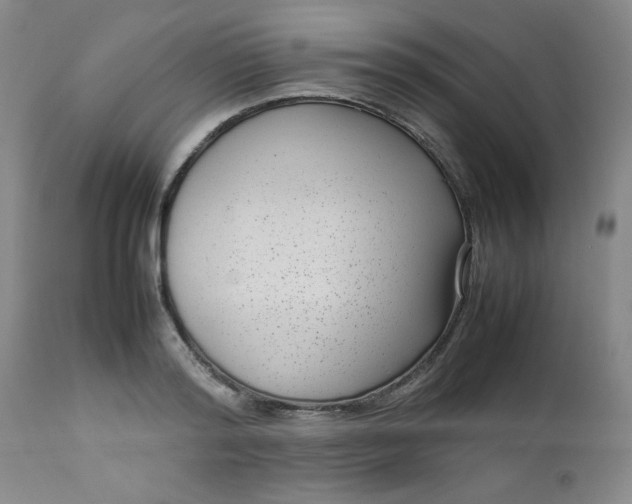 X0000112730796200909101450