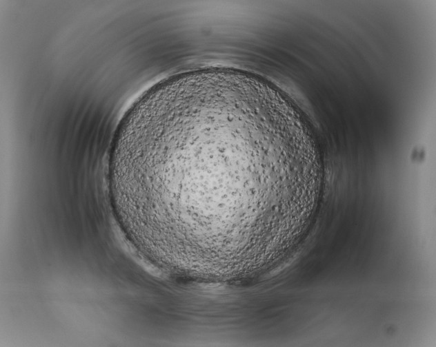 X0000112730798200909101450