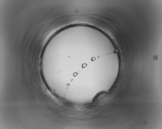 X0000112730799200909101450