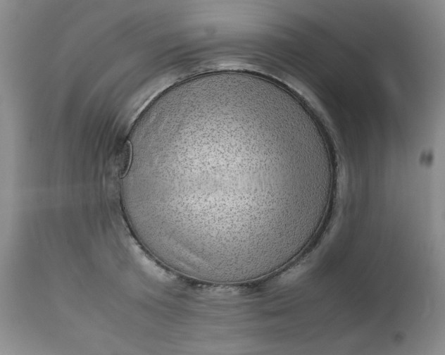 X0000112730801200909101450