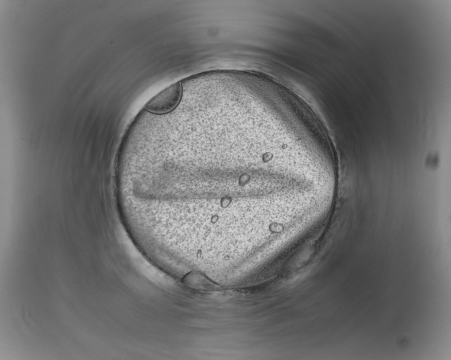 X0000112730803200909101450