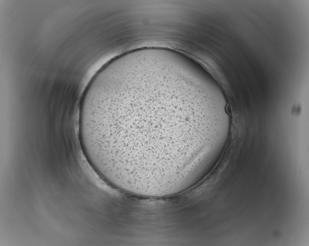 X0000112730804200909101450