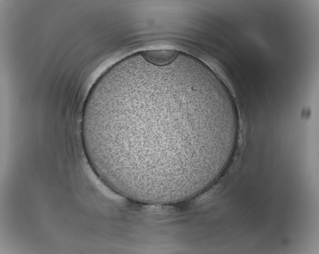 X0000112730805200909101450