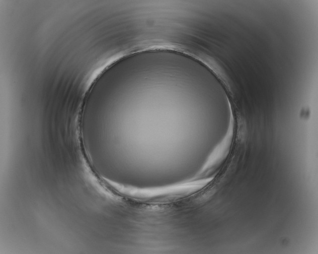 X0000112730806200909101450